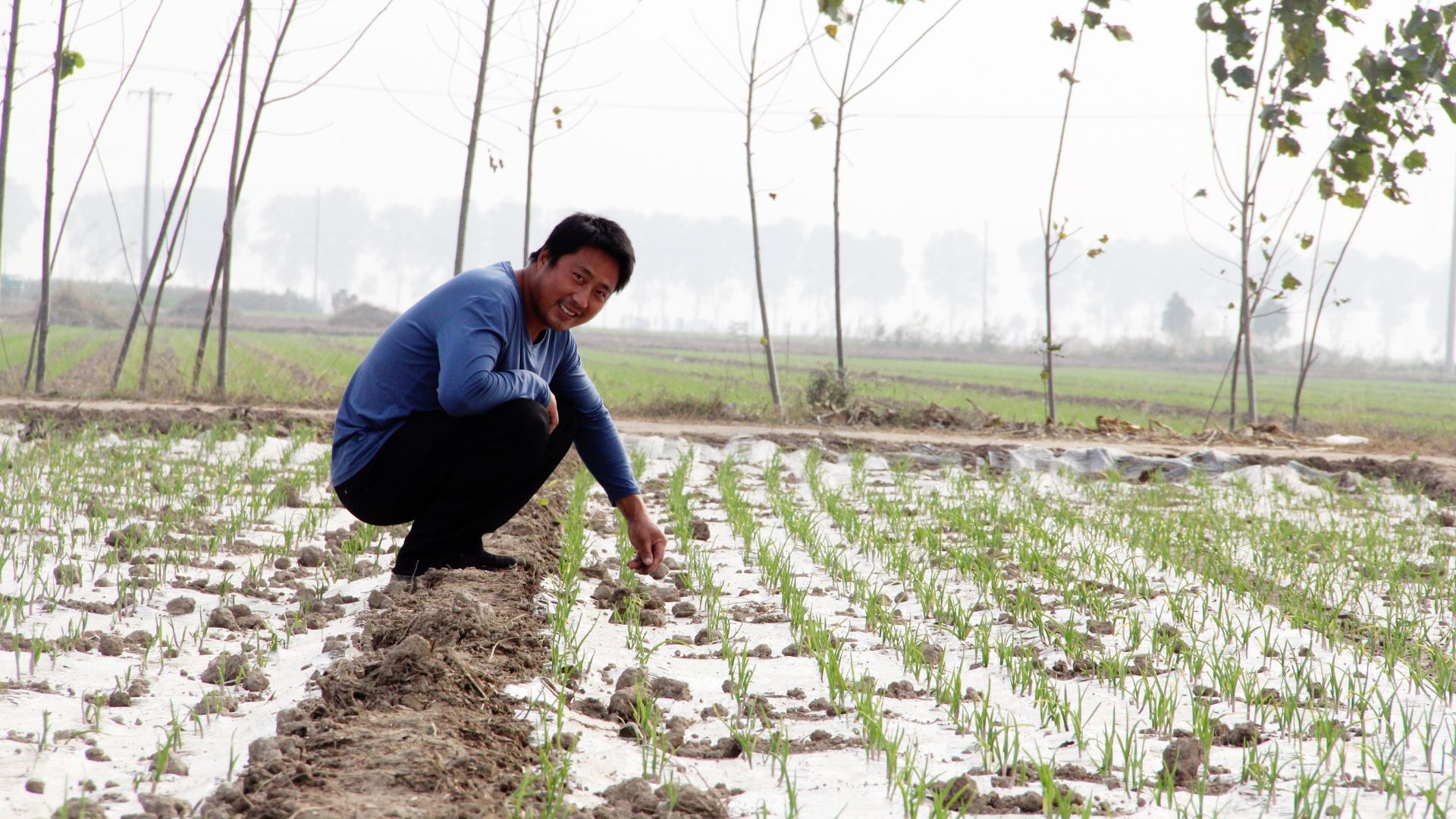 Knoblauchbauer bei der Kontrolle seiner Pflanzen – Teil eines von Pur und Unilever unterstützten Projekts zur Umsetzung von Methoden der regenerativen Landwirtschaft in China. 