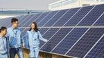 Eine Frau und ein Mann sehen sich eine Reihe Solarpanels an.