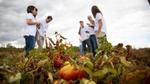 Treffen von Tomatenbauern mit dem Nachhaltigkeitsteam von Unilever bei einem Projekt für regenerative Landwirtschaft in Spanien.