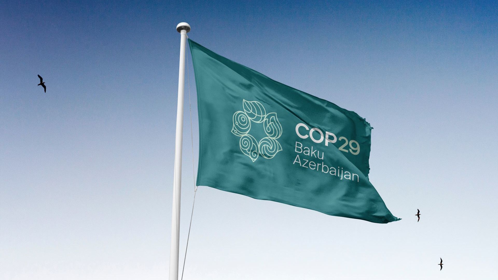 Logo der Klimakonferenz der Vereinten Nationen COP29 (Baku, Aserbaidschan 2024)